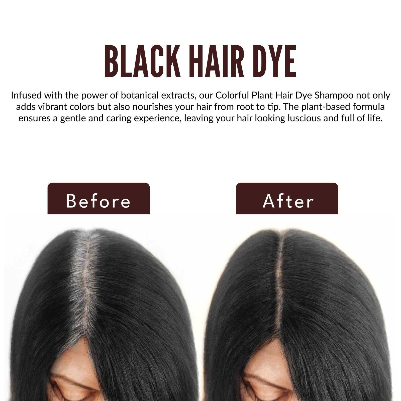 Hair Dye Comb Shampoo (Pack of 2)