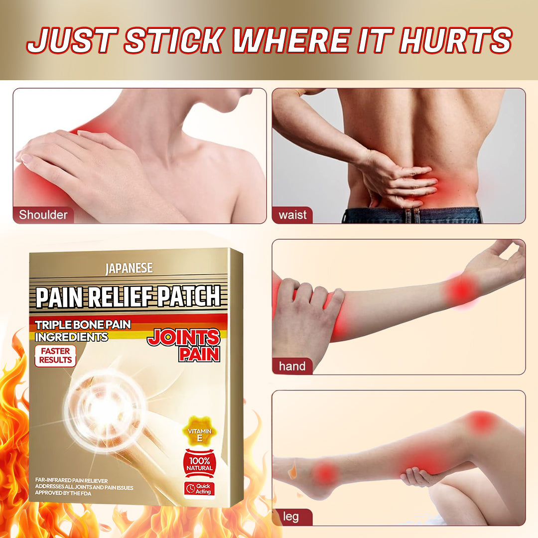 Japanese Pain Relief Patch (10 patches)