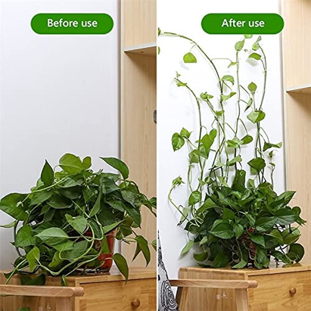 Plant Fixing Clips (Pack of 60)