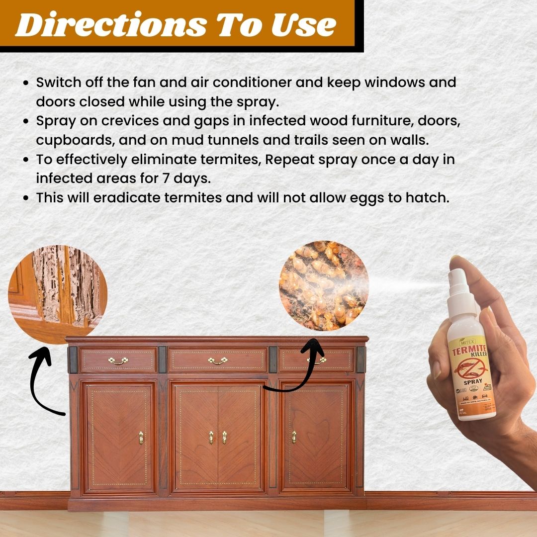 Termite Spray (Pack of 3)