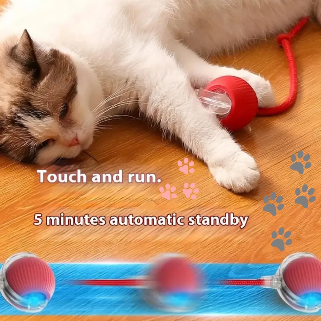 Smart Rolling LED Pet Ball