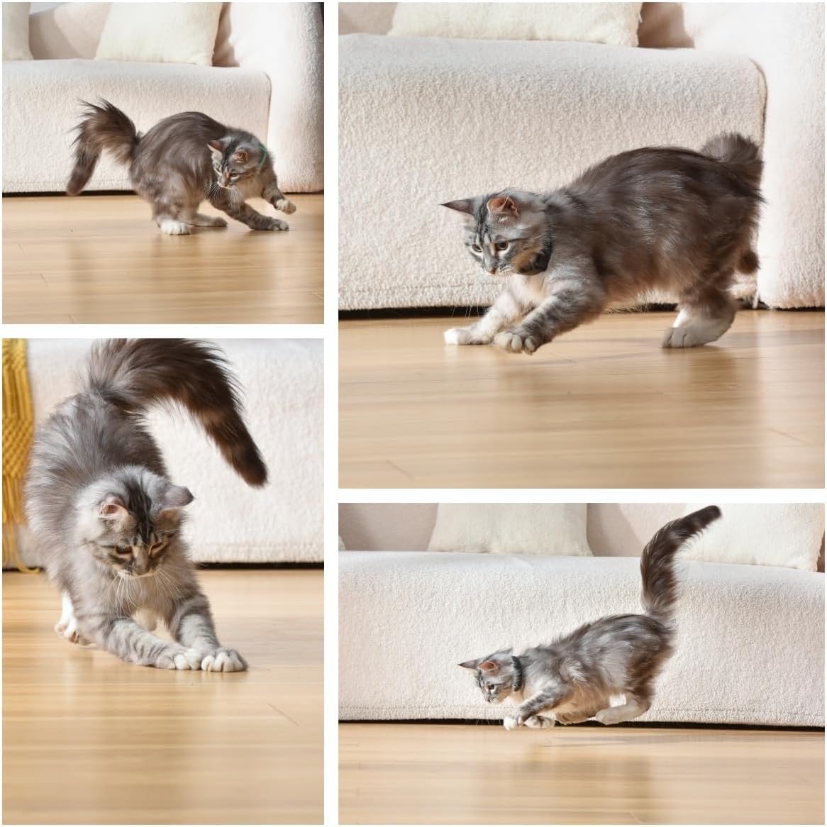 CatOrbitzi™ Pet Laser Collar