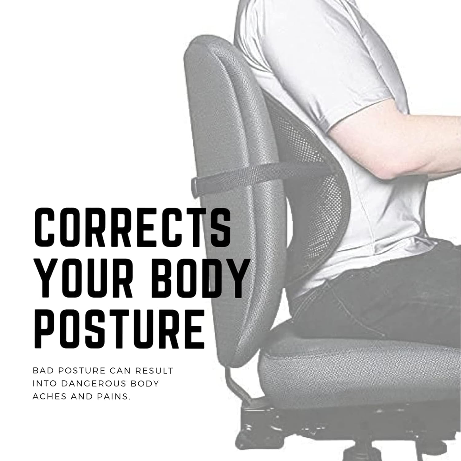 Seat Backrest