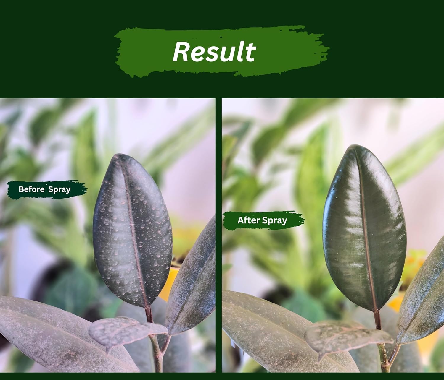 Pure Neem Plant Protection Spray (Buy 1 Get 1 Free)