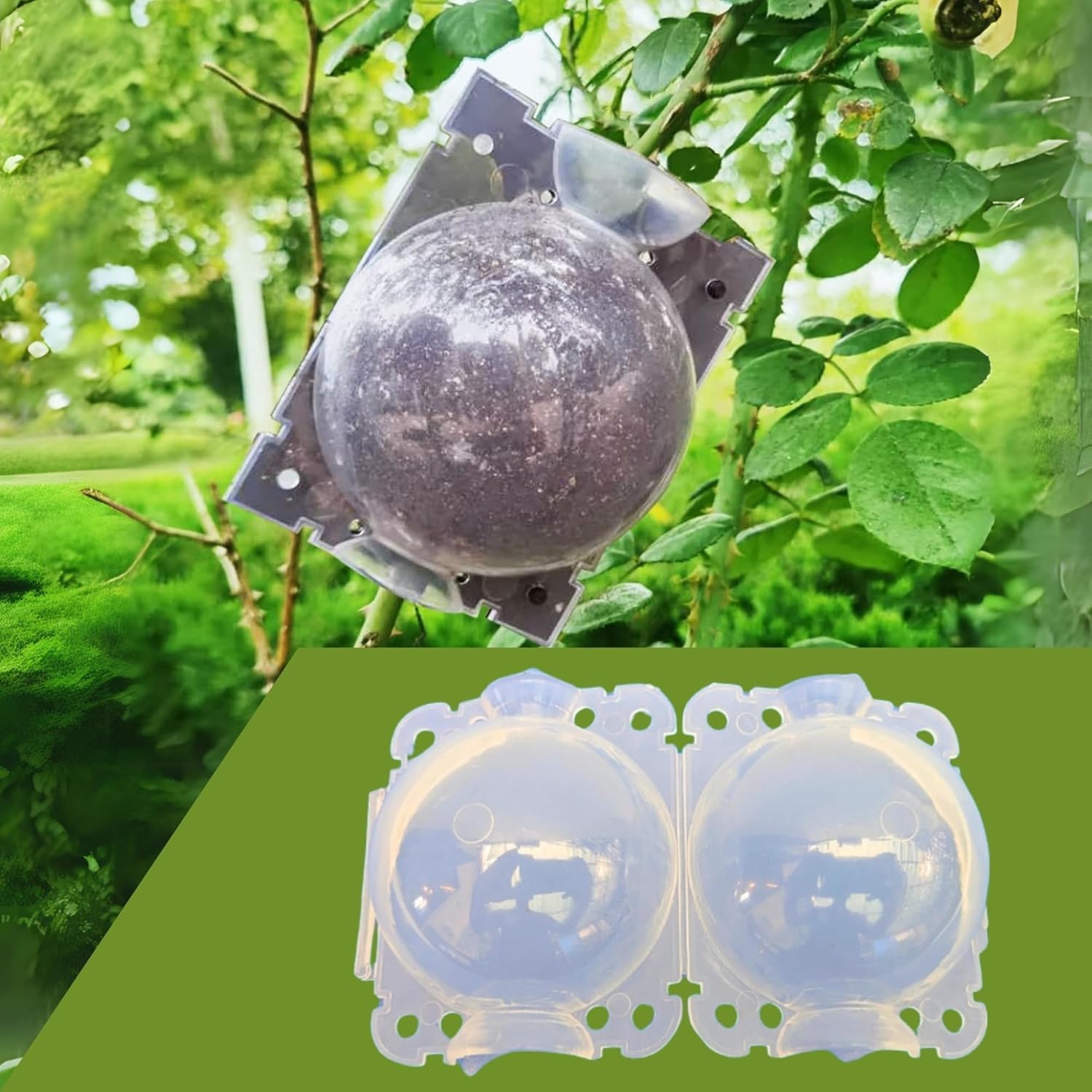 Plant Rooting Balls (Pack of 5 with Free Pot mix)