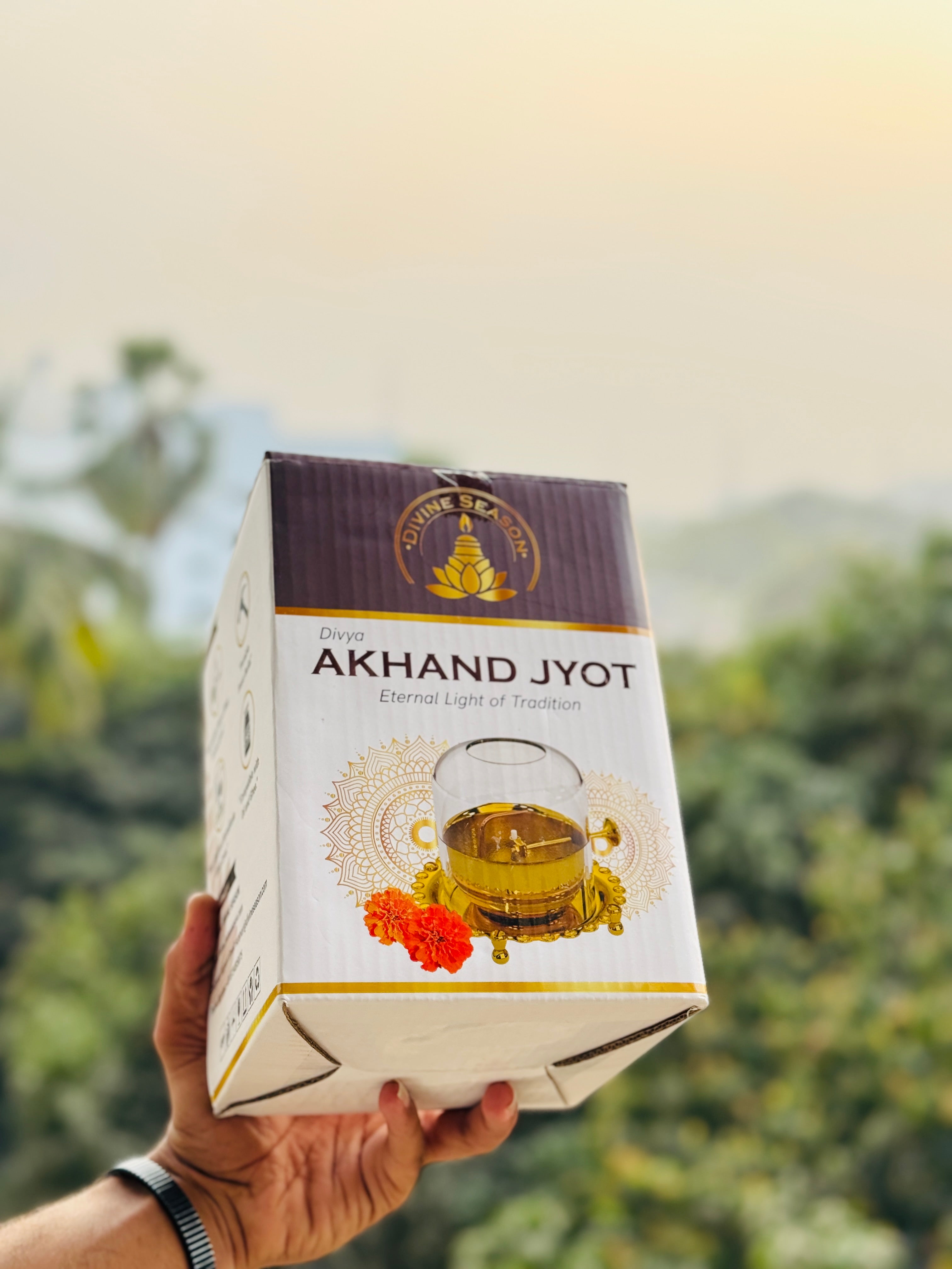 PureDiya™ Divya Akhand Jyot Diya