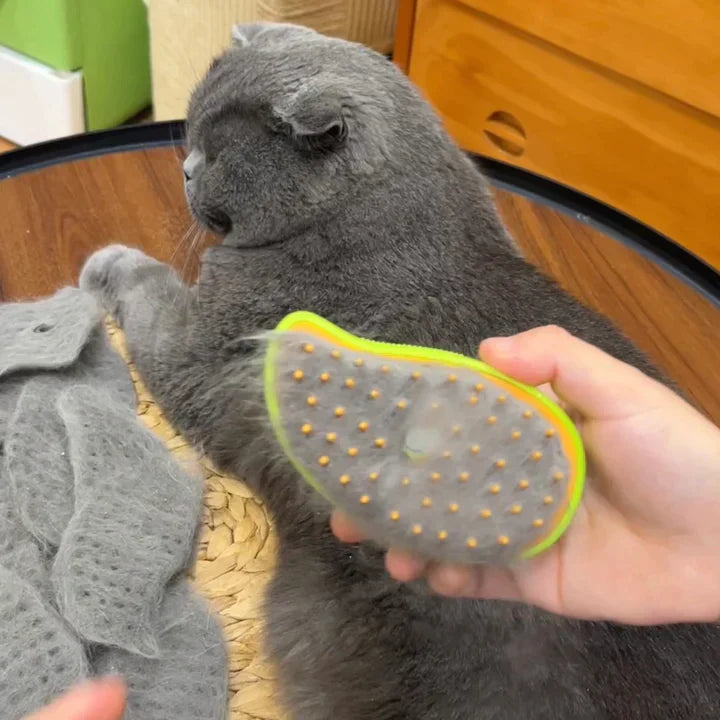 Pet Hair Steam Brush