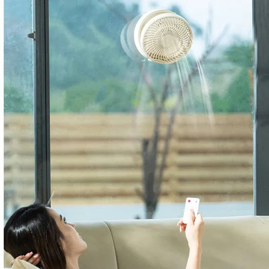 Wall Mount Fan