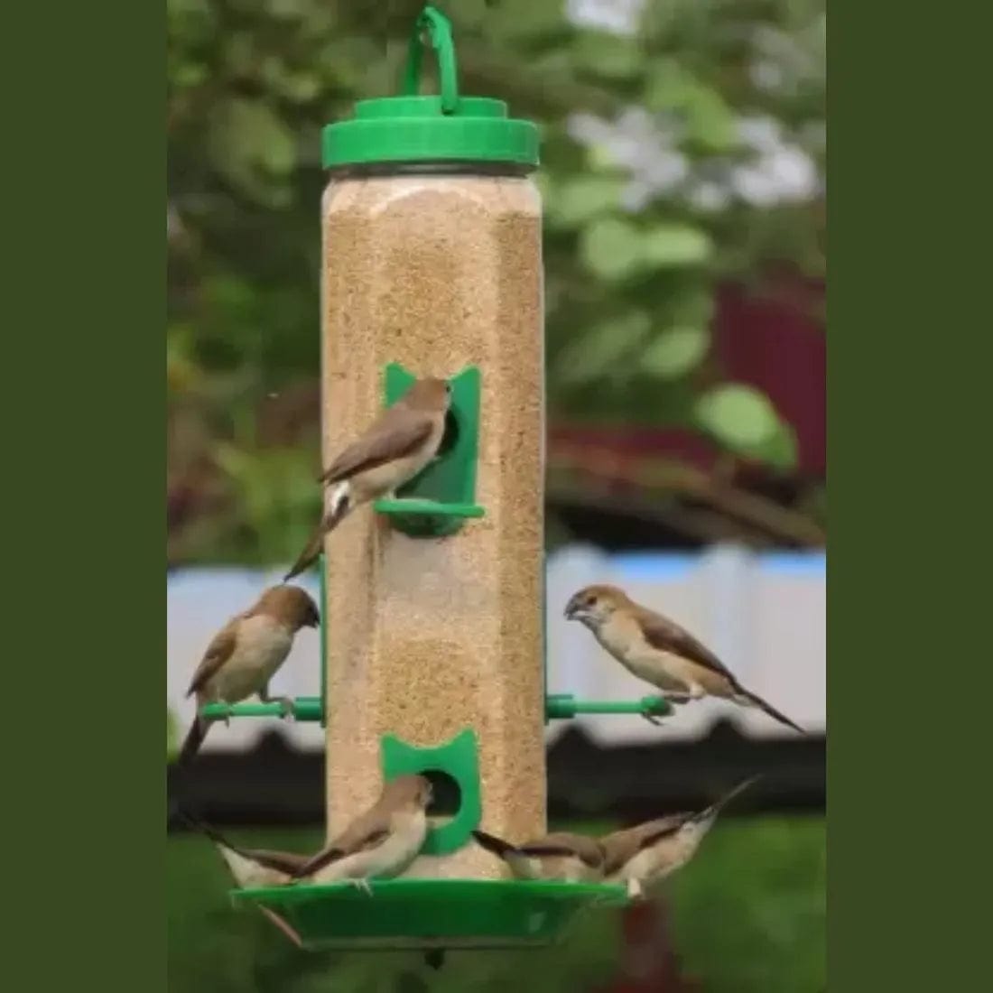 Bird feeder Dreamzhub