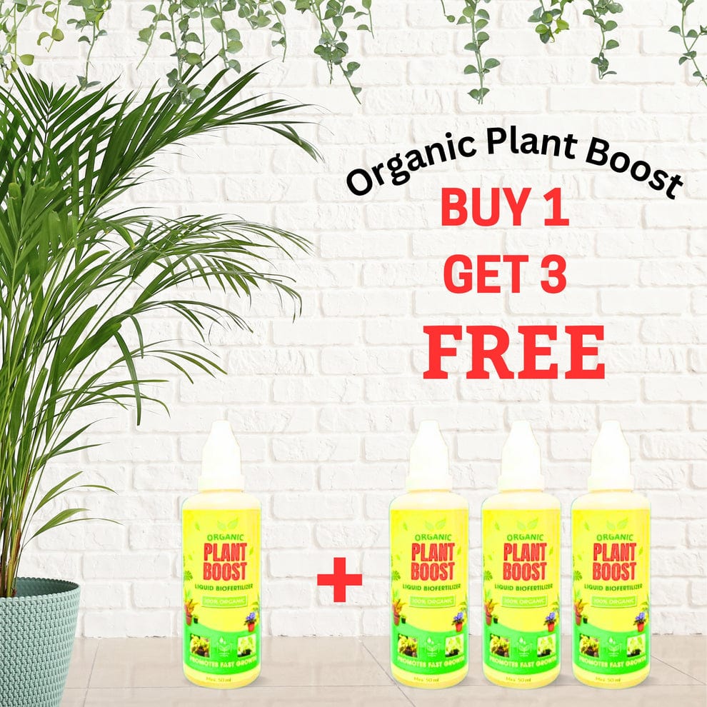 Bloomup™️ | Plant Nutrients Hormone Fertilizers Growth Regulators In Plant BloomUp™️ Plant Growth Liquid Fertiliser (Buy 1 Get 3 Free) Zaavio®️