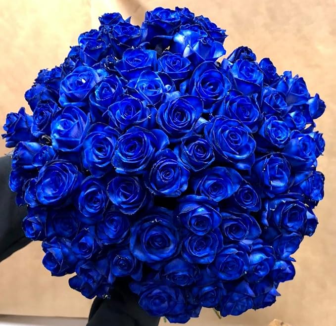 Blue Rose Seeds Blue Rose Seeds Zaavio®