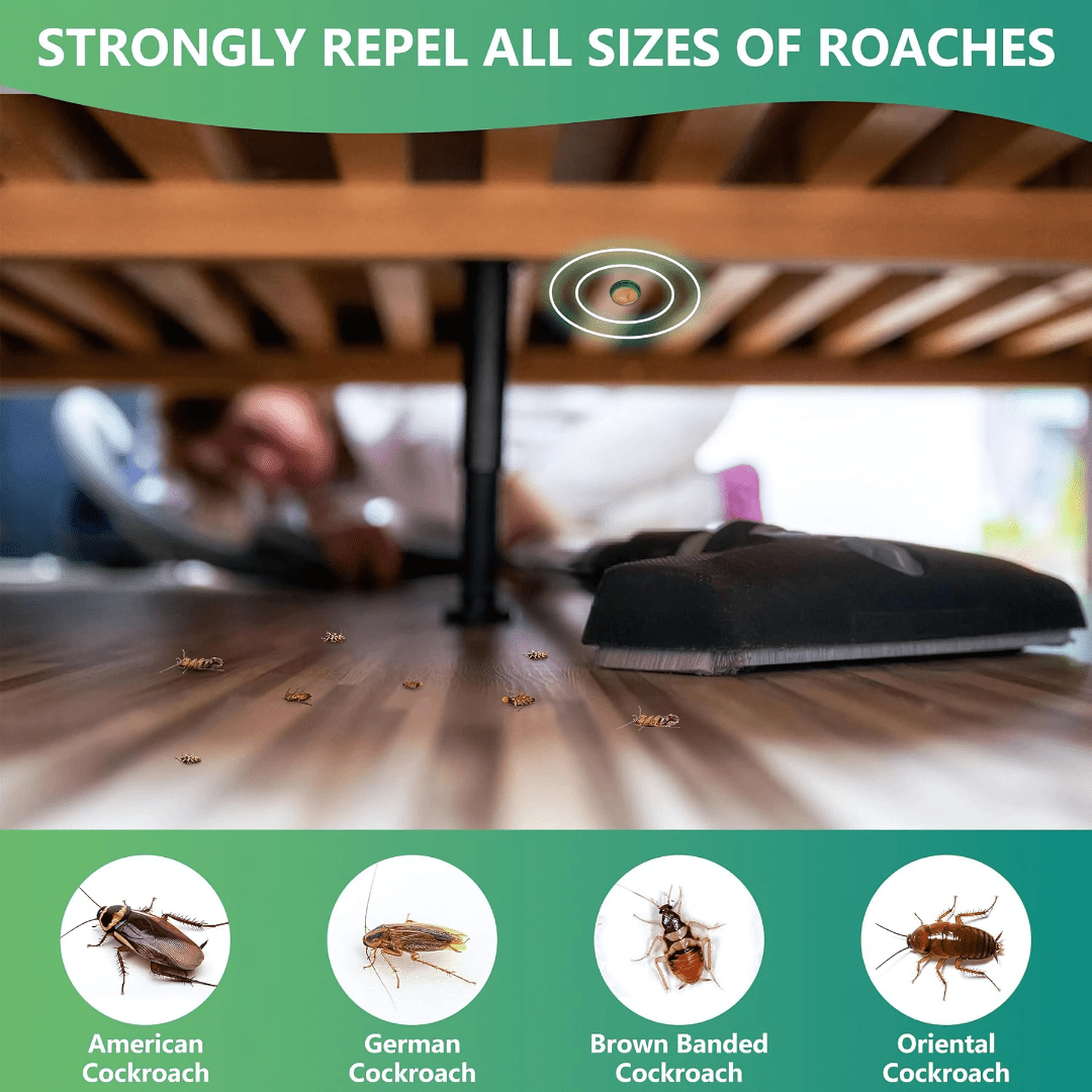Cockroach Repellant Gel (Pack of 2) | Cockroach Killer Gel Spray At Home Cockroach Infestation Bait Cockroach Repellant Gel (Pack of 2) 5e7e6e