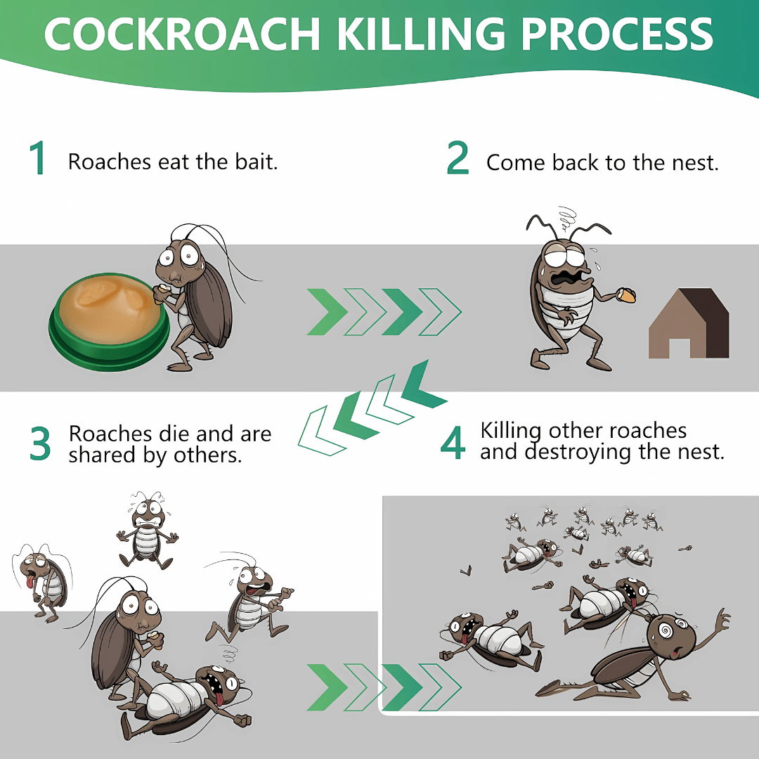 Cockroach Repellant Gel (Pack of 2) | Cockroach Killer Gel Spray At Home Cockroach Infestation Bait Cockroach Repellant Gel (Pack of 2) 5e7e6e