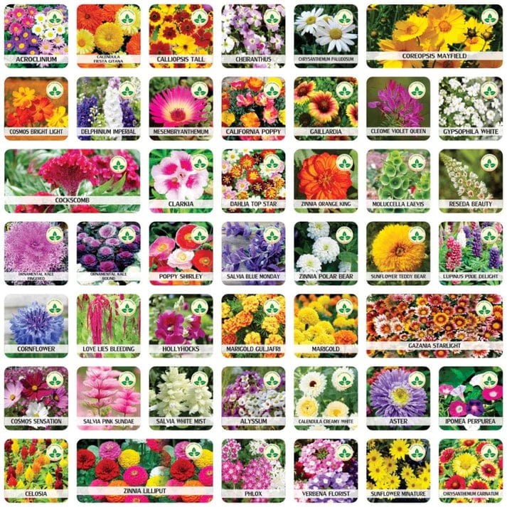 Copy of Mix Flower Seeds (Pack of 100 Seeds) Zaavio®