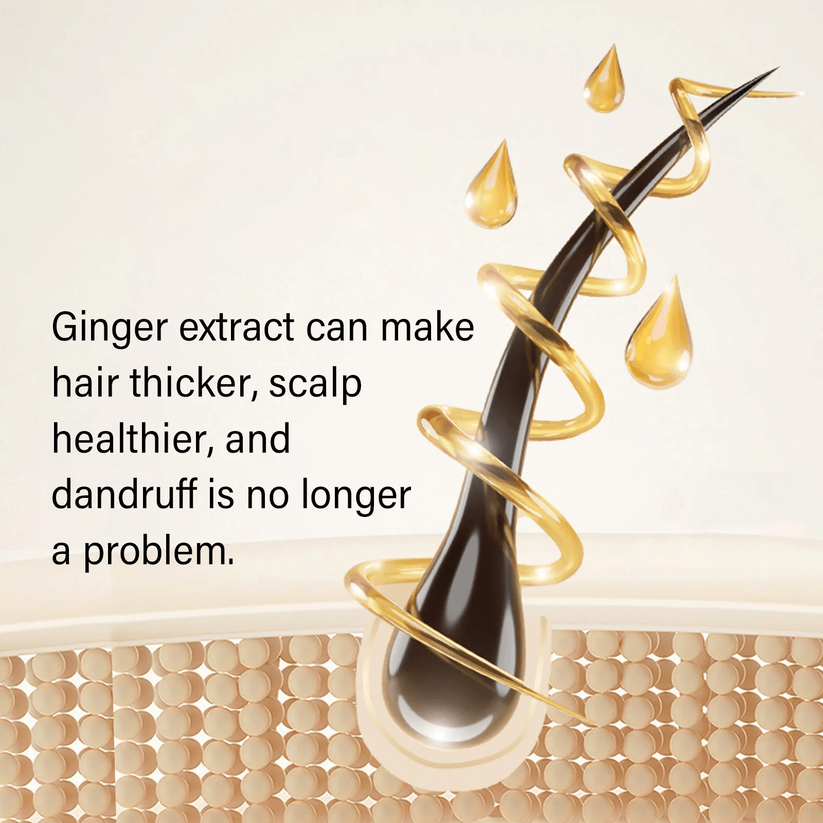Ginger Plant Extract Anti-Hair Loss Shampoo (Pack of 3) | Anti Hair Fall Shampoo Hair Growth Ginger Hairex Reduce Hair Loss Ginger Plant Extract Anti-Hair Loss Shampoo (Pack of 3) Zaavio®