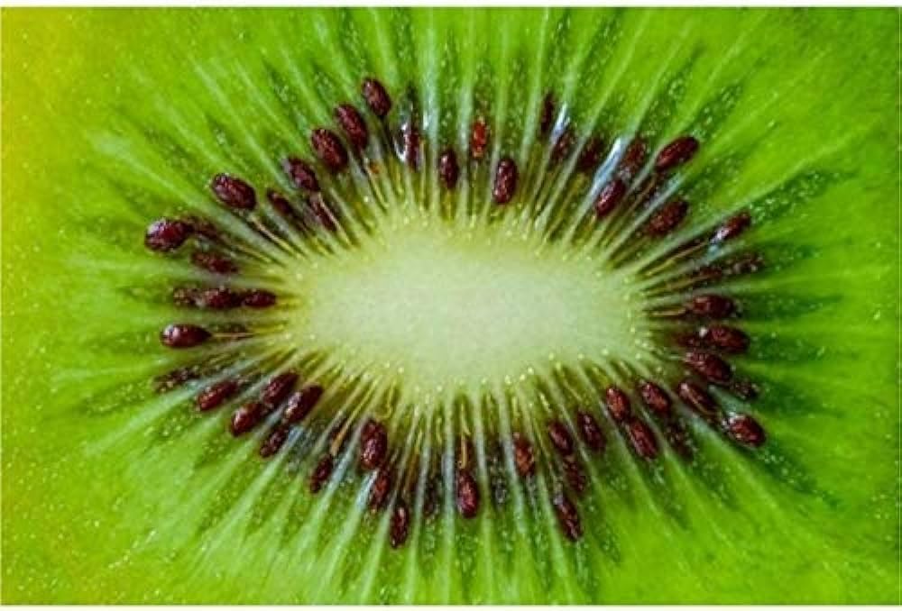Kiwi Fruit Seeds | Kiwi Plant Planting Home For Gardening Home Garden Seeds Flower Kiwi Fruit Seeds Zaavio®