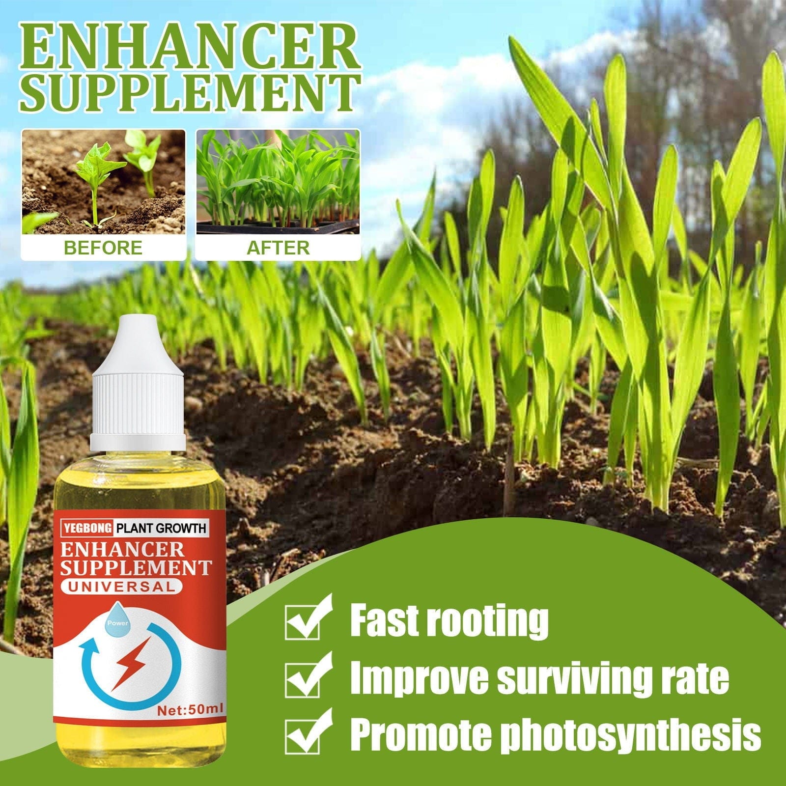 Plant Nutrients Hormone Fertilizers Growth Regulators In Plant - Bloomup (50% OFF) BloomUp™️ (50% OFF) Zaavio®️
