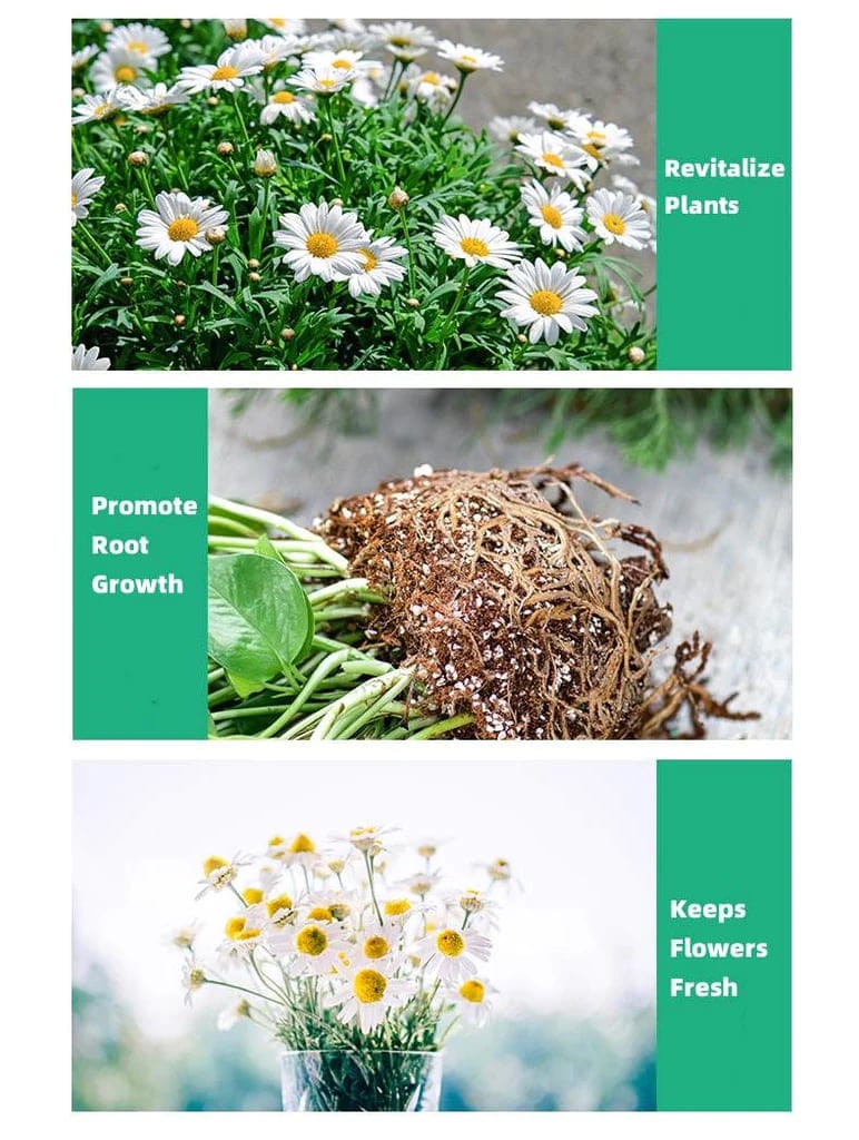 Plant Nutrients Hormone Fertilizers Growth Regulators In Plant - Plant Growth Enhancer Supplement (50% OFF) BloomUp™️ (50% OFF) Zaavio®️