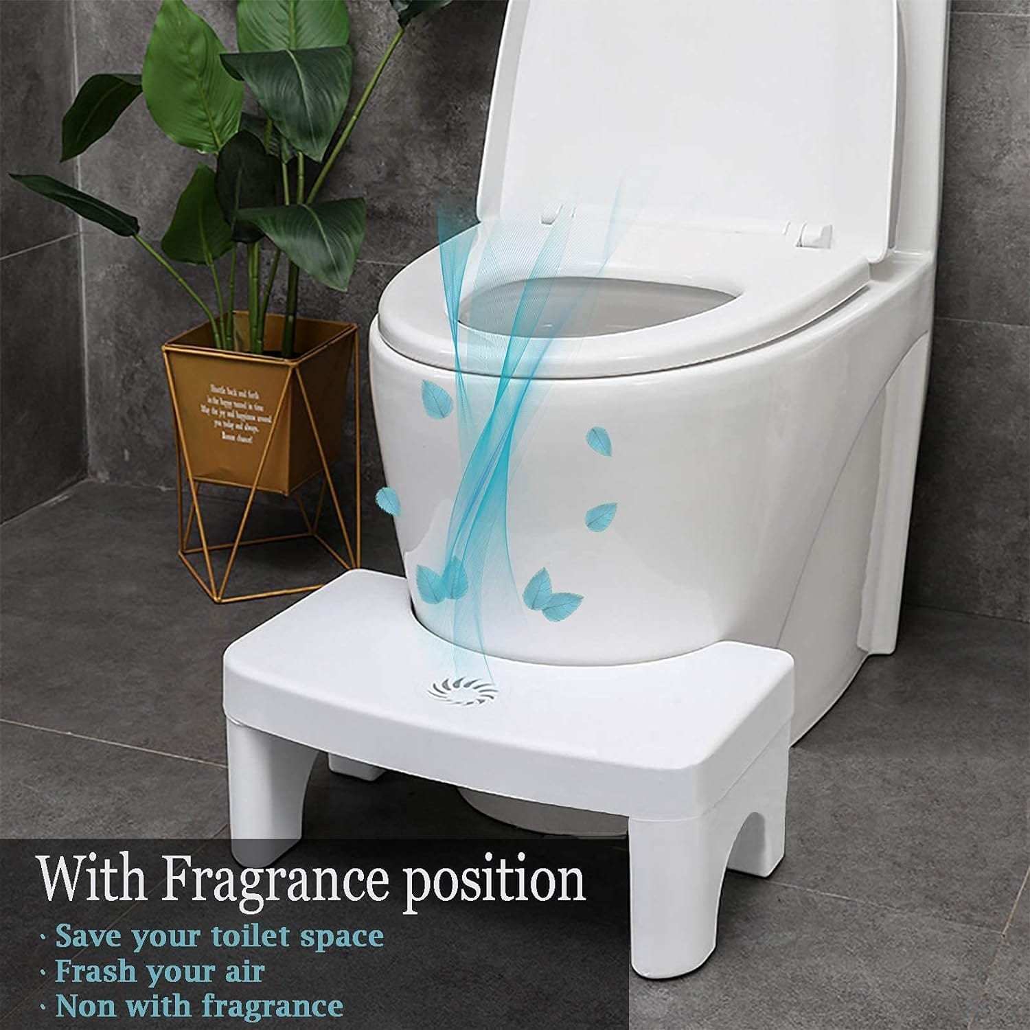 Plastic Foldable Potty Training Stool🎉Diwali Offer🎉 Zaavio®