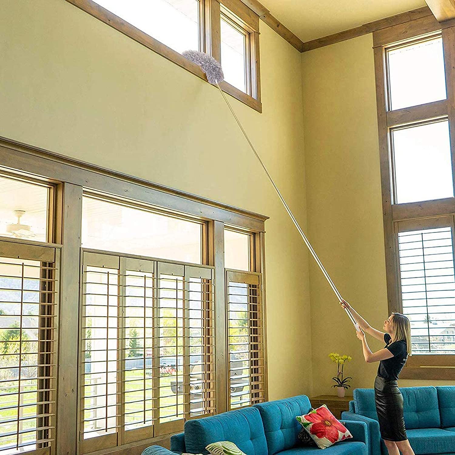 Cleaner Broom Zaavio®