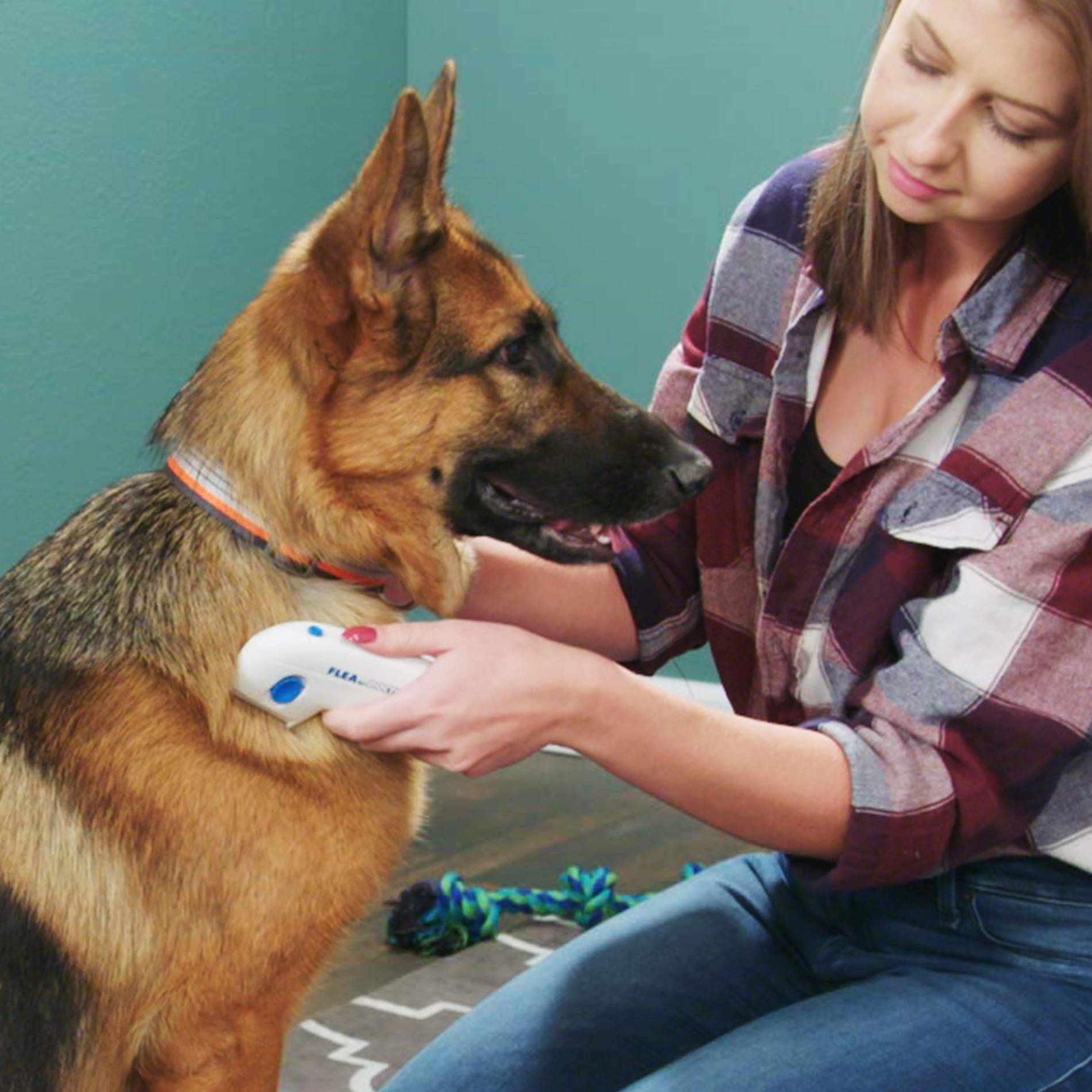 Electric Flea Comb For Dogs Electronic Tick Zapper - Exoflea™ Exoflea™ Zaavio®