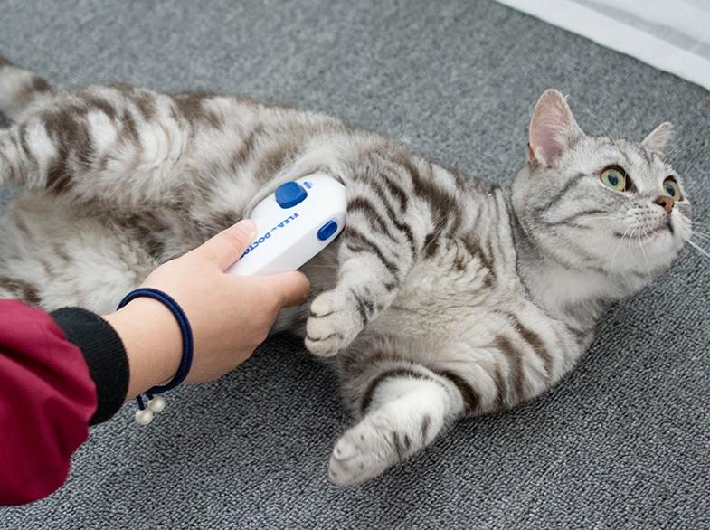Electric Flea Comb For Dogs Electronic Tick Zapper - Exoflea™ Exoflea™ Zaavio®