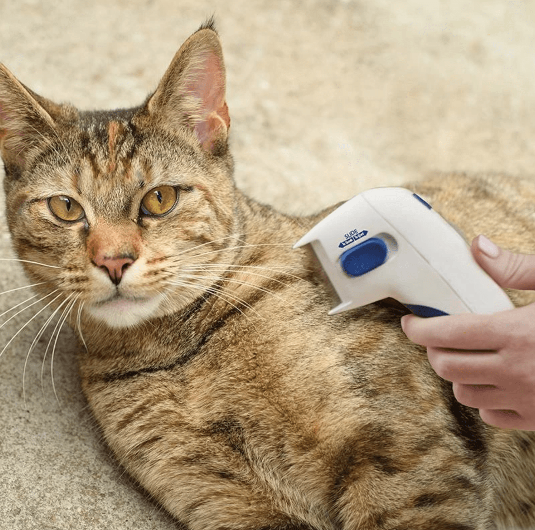 Electric Flea Comb For Dogs Electronic Tick Zapper - Exoflea™ Exoflea™ Zaavio®