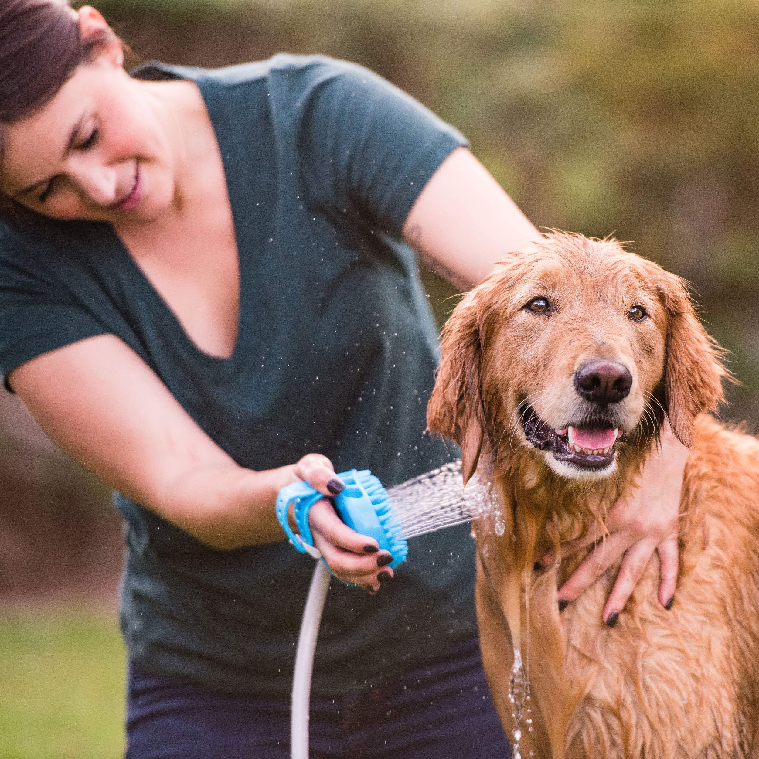 Pet Washer Zaavio®