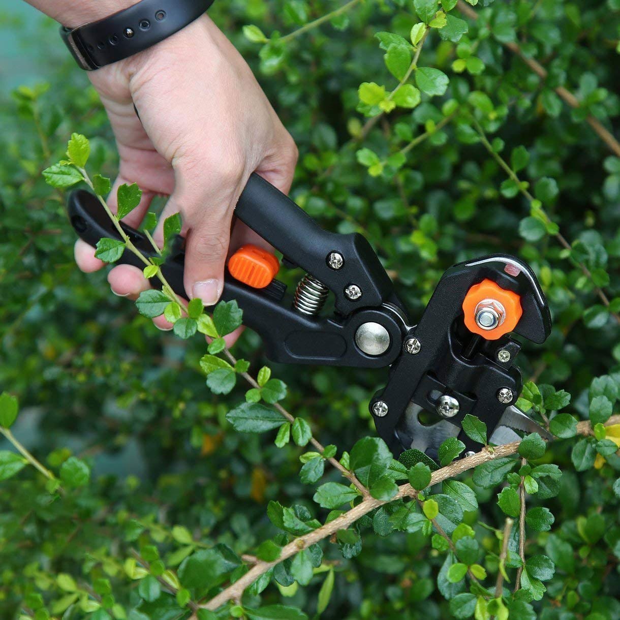Pruning Tools Clonixo™ Bestsellrz®