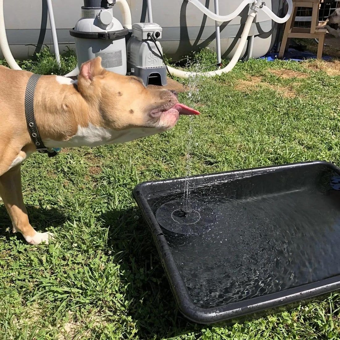 Solar Water Fountain Kit thetuckied