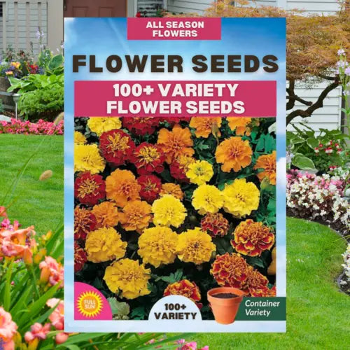 BlossomBloom™ (Pack of 100 Seeds)