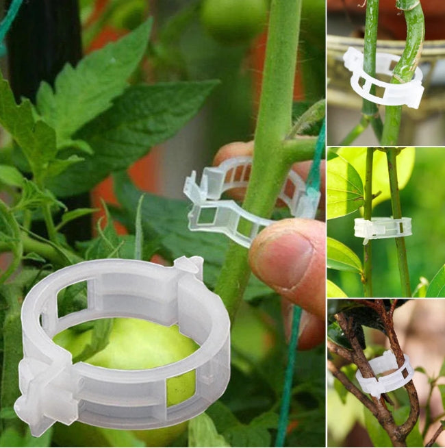 Plant Support Clips (Pack of 50)