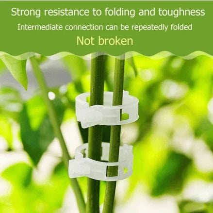 Plant Support Clips (Pack of 50)