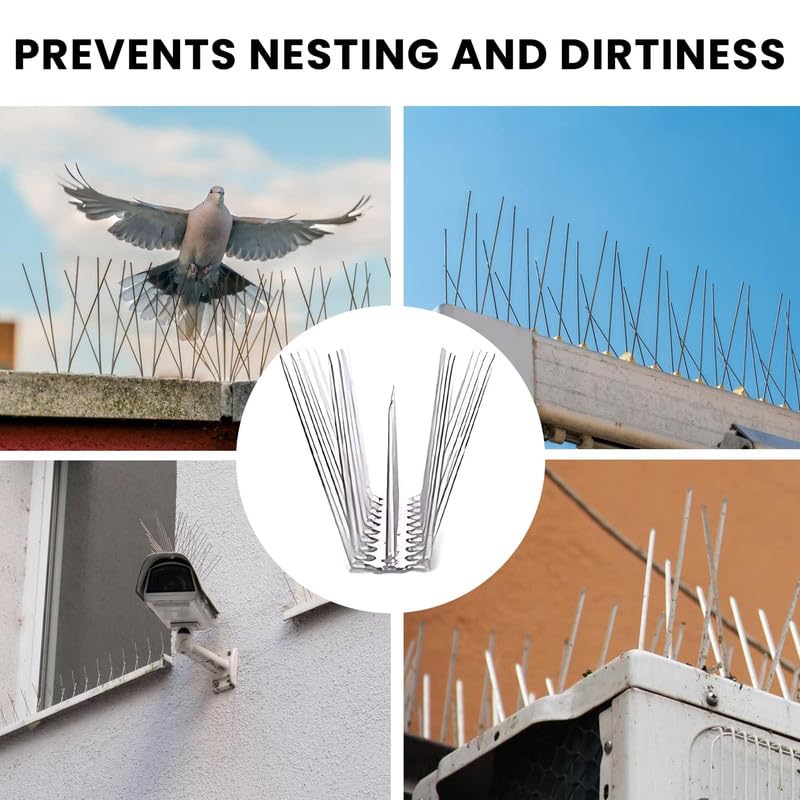 Pigeon Control Spikes (Set of 10)
