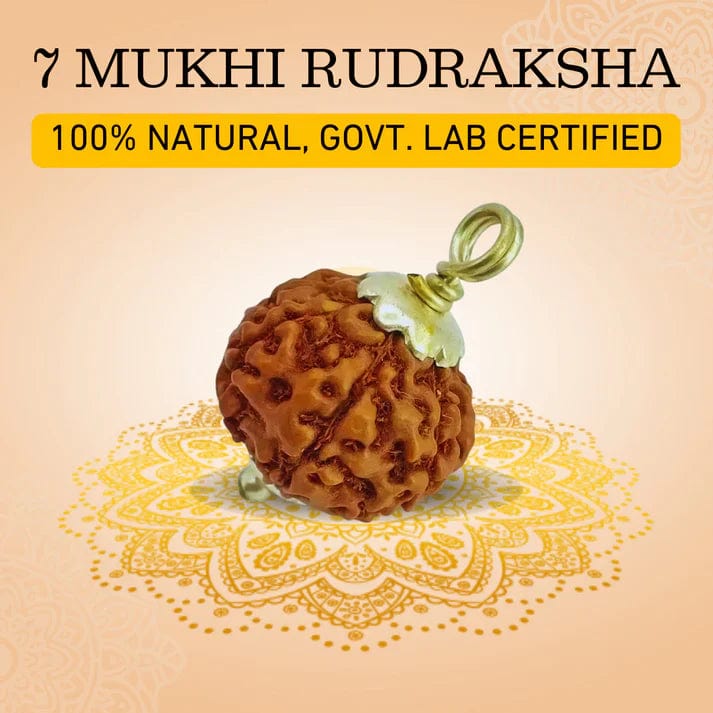 7 Mukhi Rudraksha Silver Capped Pendant Zaavio®