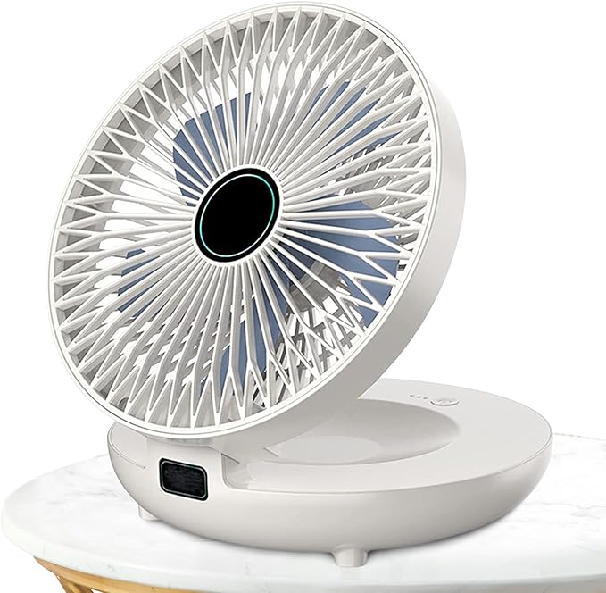 Wall Mount Fan