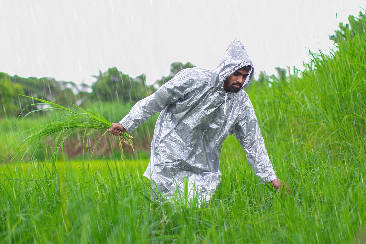 Rain Card Coat (Set of 5)
