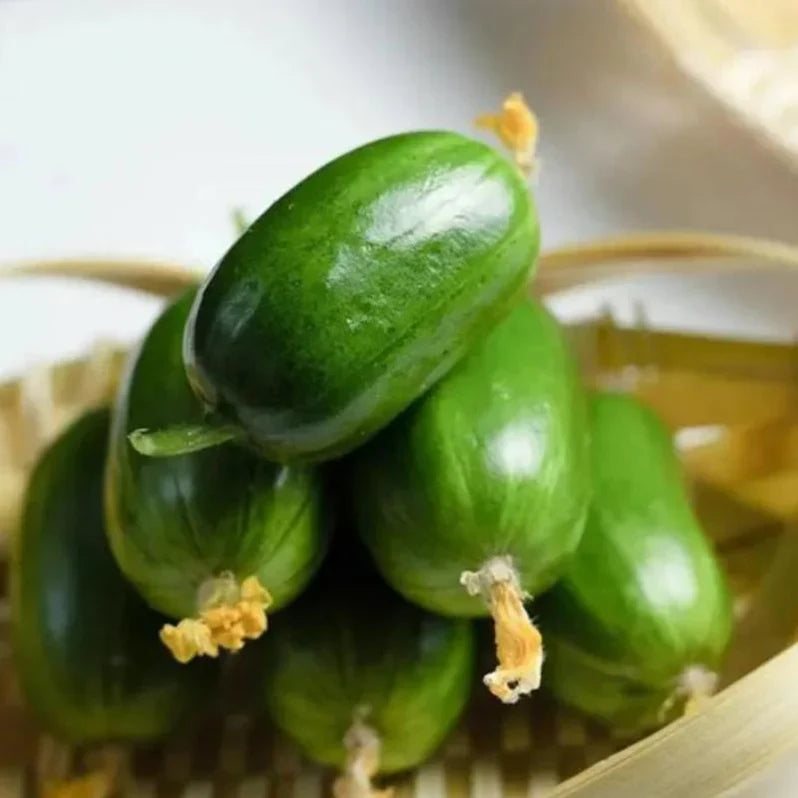 Cucumber Seeds