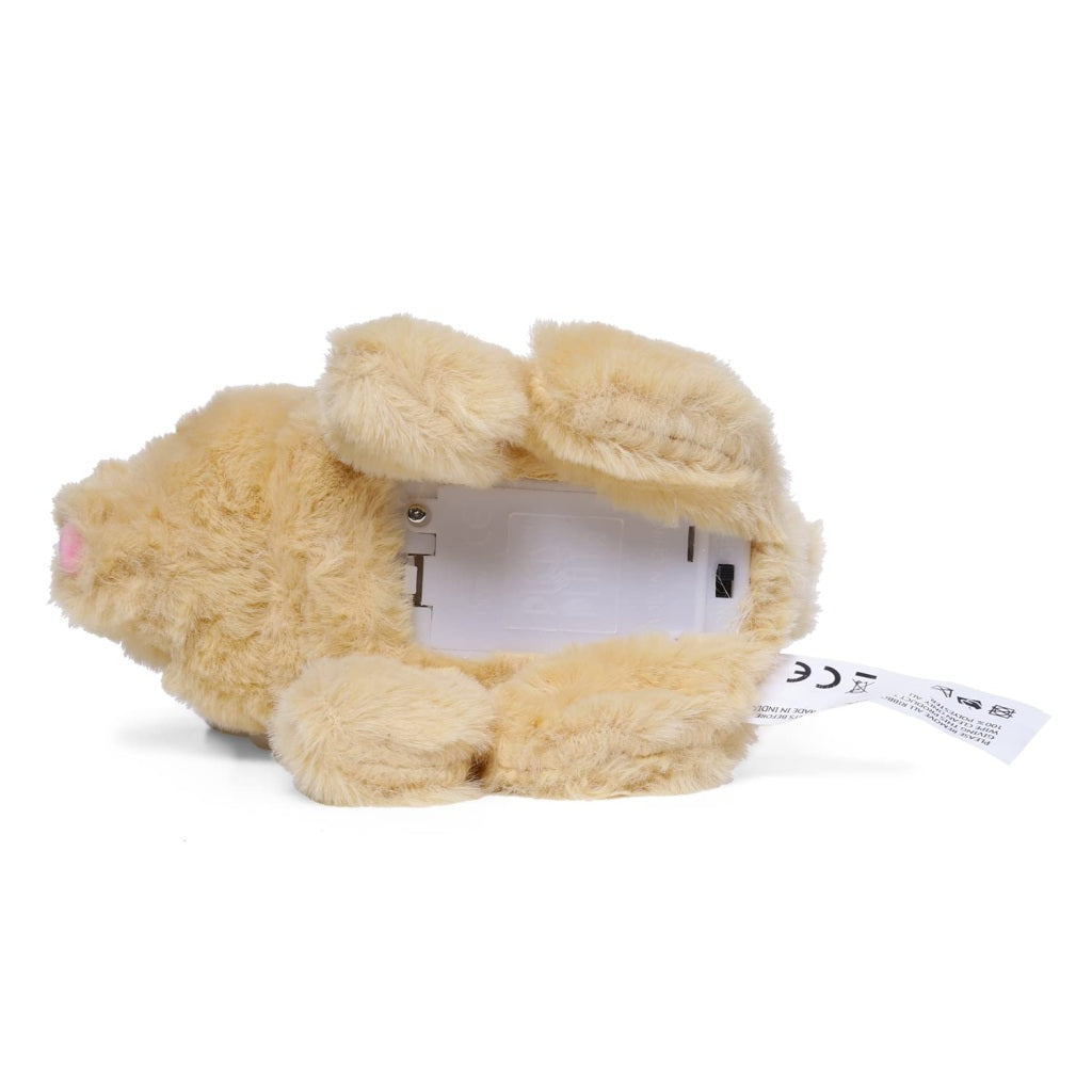 🐇Hopping and Walking Rabbit