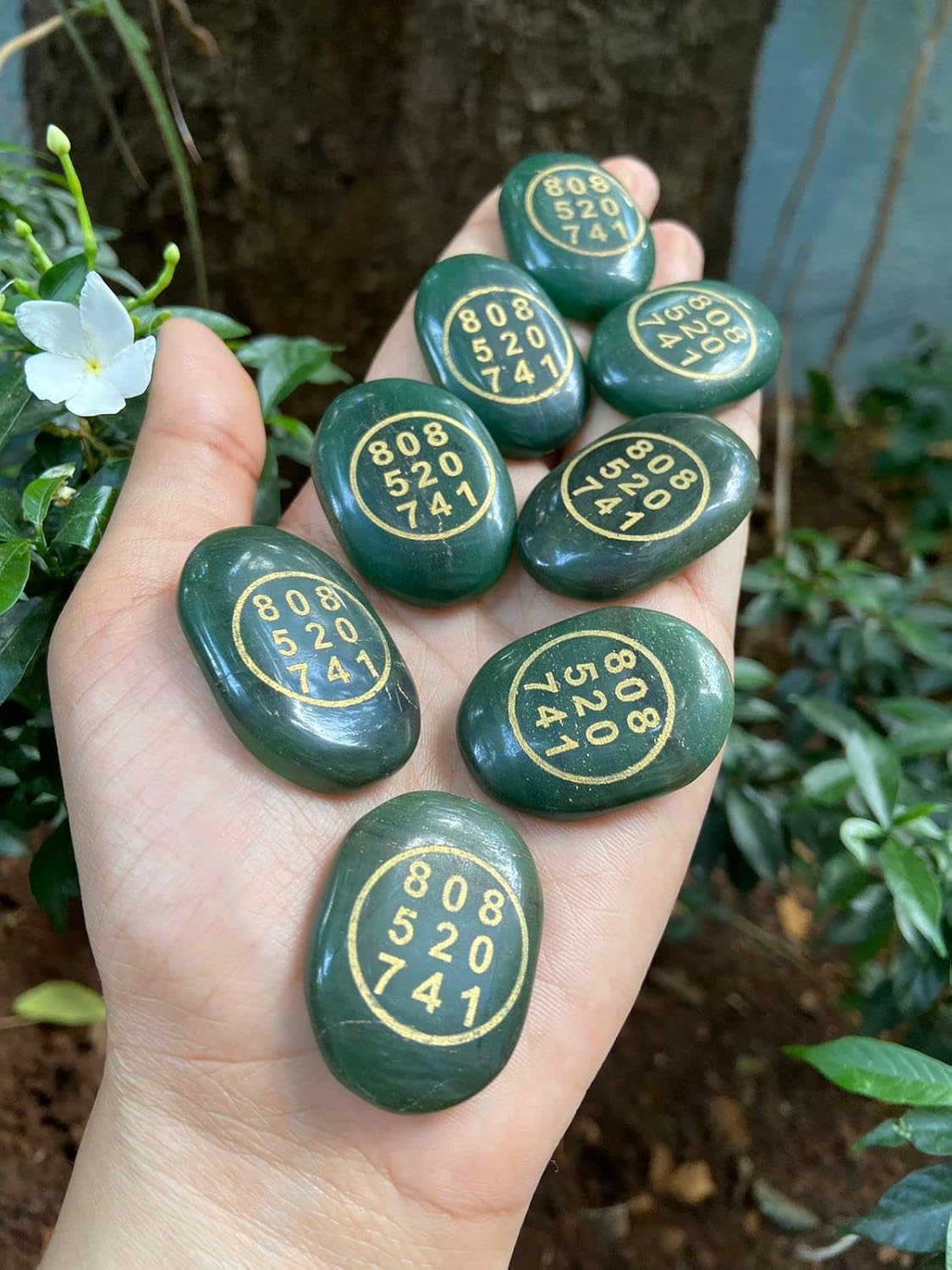 Jade Zibu Coin | Green Aventurine Stone Healing Crystals Money Stone Zibu Symbol Jade Zibu Coin Zaavio®