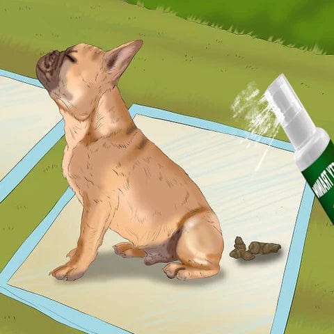 Pet Potty Training Spray Zaavio®️