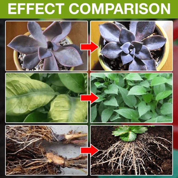 Plant Growth Enhancer Supplement (50% OFF) Zaavio®️