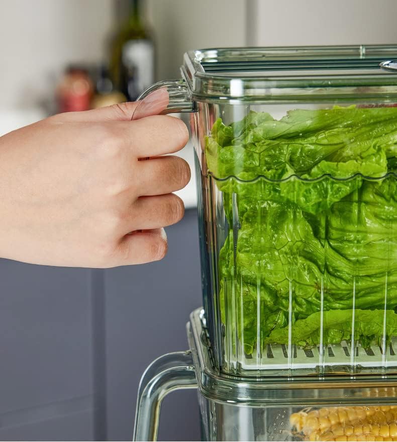 Plastic Container Basket For Kitchen Storage Containers Food Storage - Unbreakable kitchen storage  Basket - 1000 ml (Pack of 6, Blue) Unbreakable kitchen storage  Basket - 1000 ml (Pack of 6) Zaavio®️