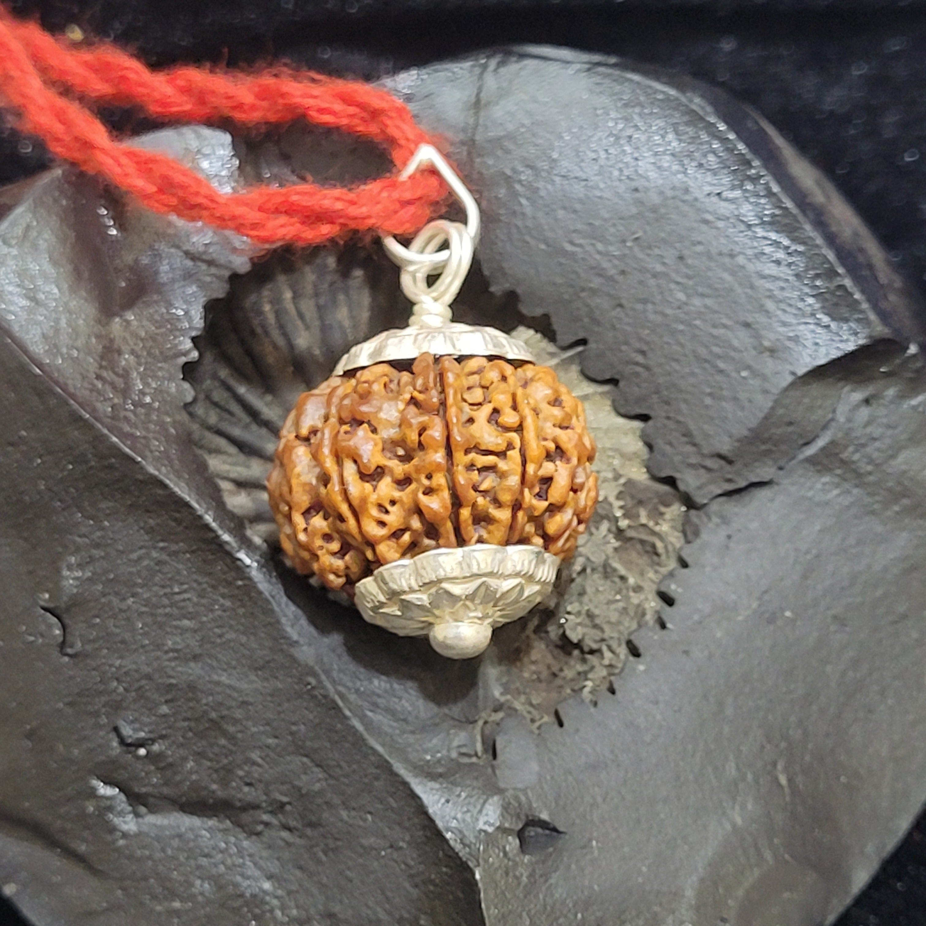 Rudraksha Pendant | 7 Mukhi Rudraksha Seven Faced Rudraksha Beads Pendant Benefits 7 Mukhi Rudraksha Silver Capped Pendant Zaavio®