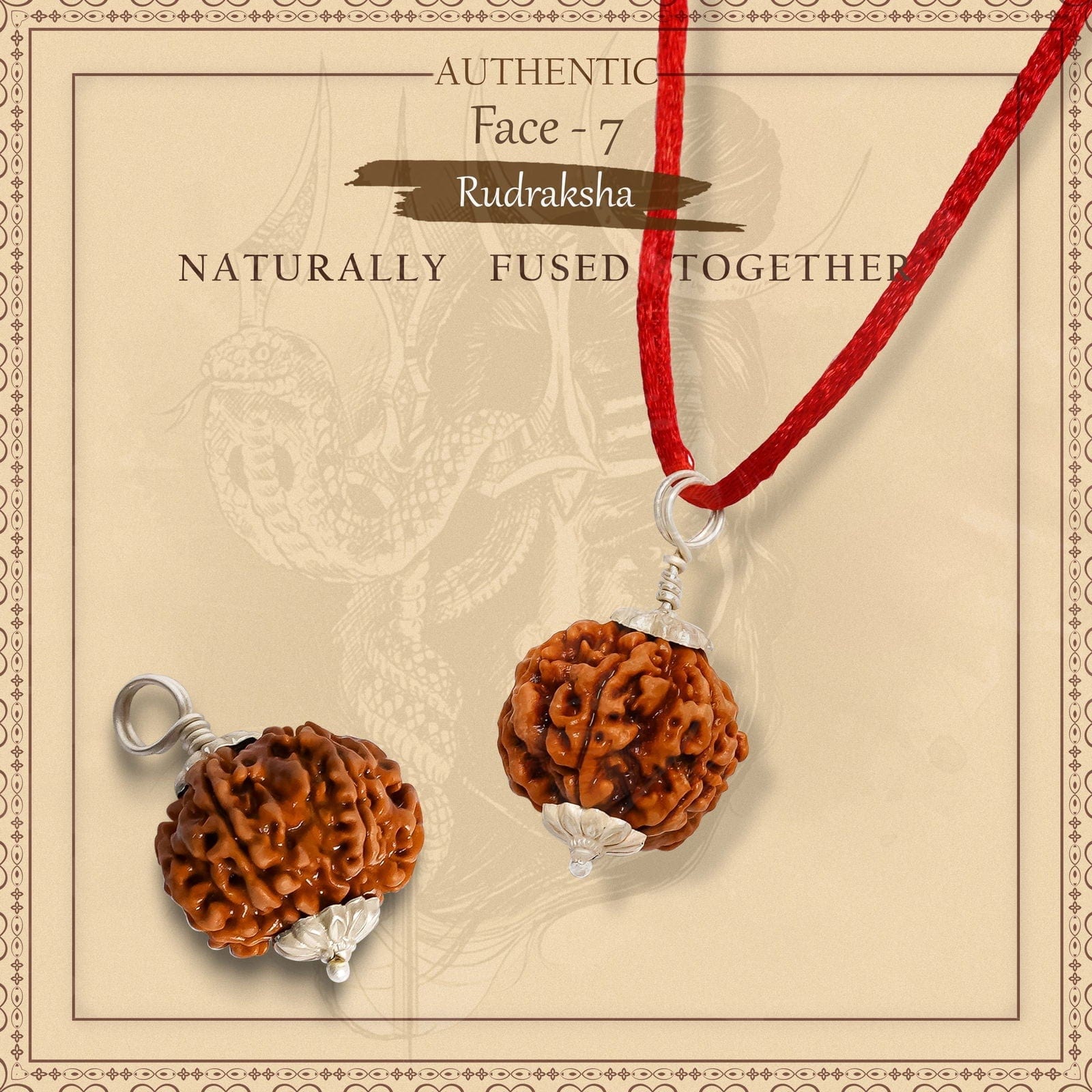 Rudraksha Pendant | 7 Mukhi Rudraksha Seven Faced Rudraksha Beads Pendant Benefits 7 Mukhi Rudraksha Silver Capped Pendant Zaavio®