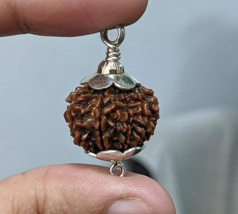 Rudraksha Pendant | 7 Mukhi Rudraksha Seven Faced Rudraksha Beads Pendant Benefits 7 Mukhi Rudraksha Silver Capped Pendant Zaavio®