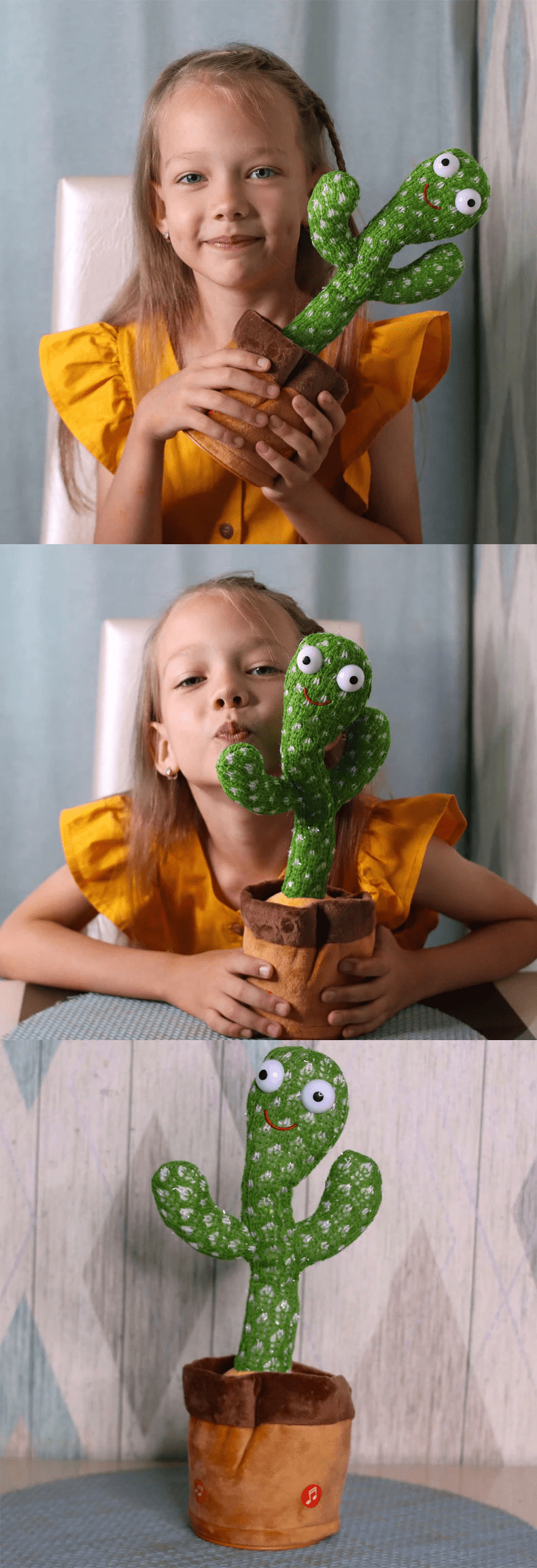 Cactus Toy Zaavio®