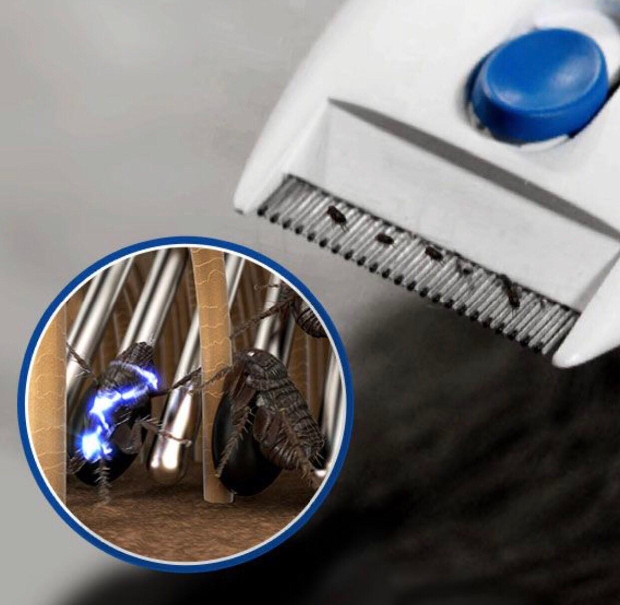 Electric flea and outlet tick comb for dogs