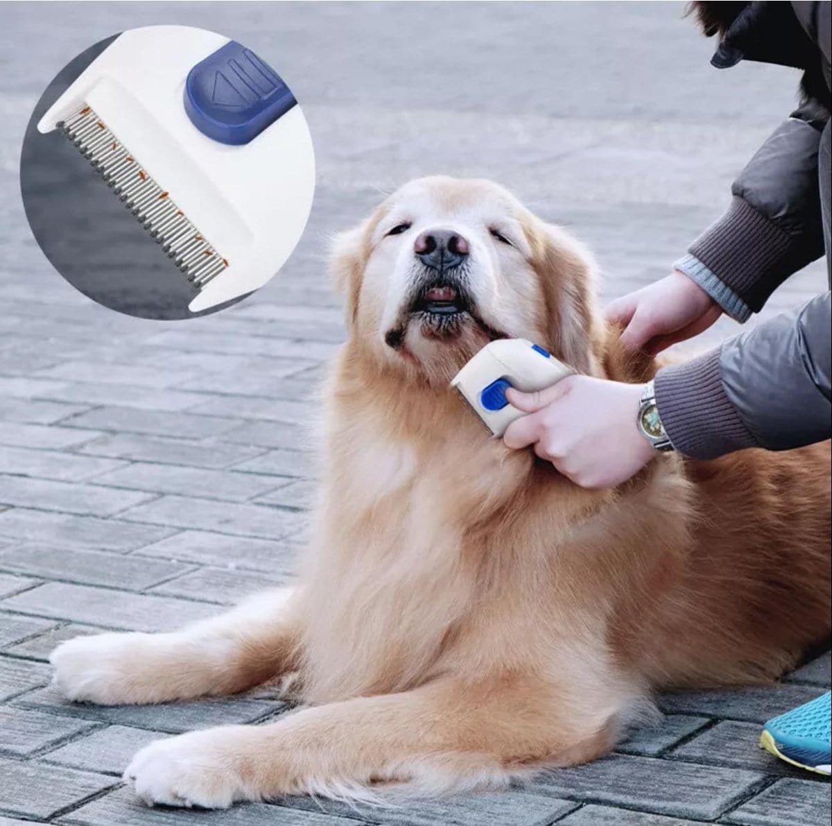 Electric flea and clearance tick comb for dogs