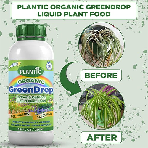 Organic Fertilizer NPK Water Soluble Fertilizer Plant Growth - Fertifeed™️